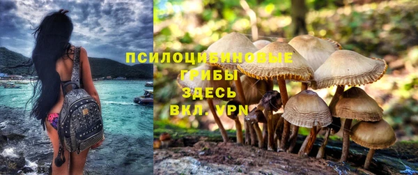 соль курить ск Арсеньев